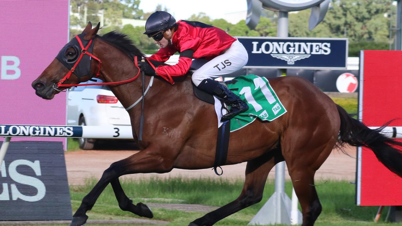 Taksu was a last start winner omn heavy ground at Rosehill two weeks ago. Picture: Grant Guy