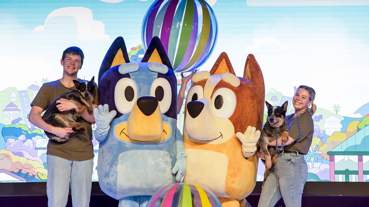 Bluey live show extended for one day at Royal Adelaide Show | The ...