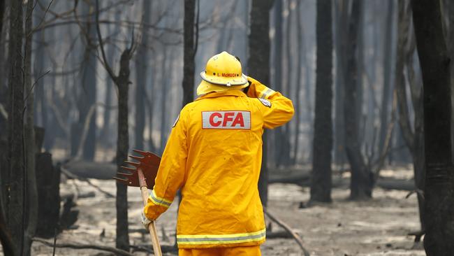 Victorian Fires Special. Mallacoota fire recovery feature. CFA firefighter Lindsay McHugh from South Morang checking smoldering trees and ground near the town.   Picture: David Caird