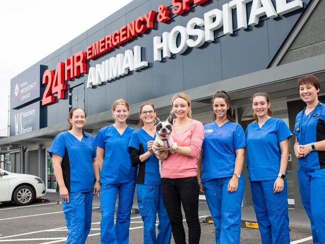 Some of the vets, from Veterinary Specialist Services in Jindalee, assisting with examinations of the 37 disabled or injured animals seized from the Storybook Farm Sacred Animal Garden property. Picture: RSPCA QLD.