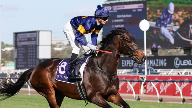 Munhamek aboard Munhamek before his win in The Damien Oliver last November. Picture: George Sal/Racing Photos via Getty Images