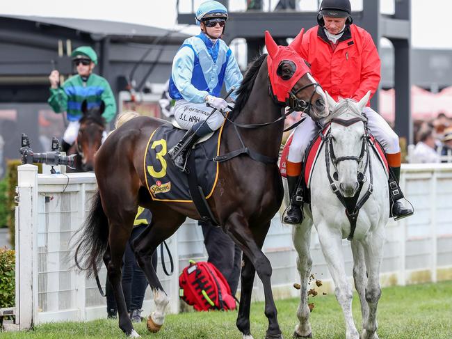 Pavitra heads to the barriers before the Schweppes Ethereal Stakes at Caulfield Racecourse on October 15, 2022 in Caulfield, Australia. (Photo by George Sal/Racing Photos via Getty Images)