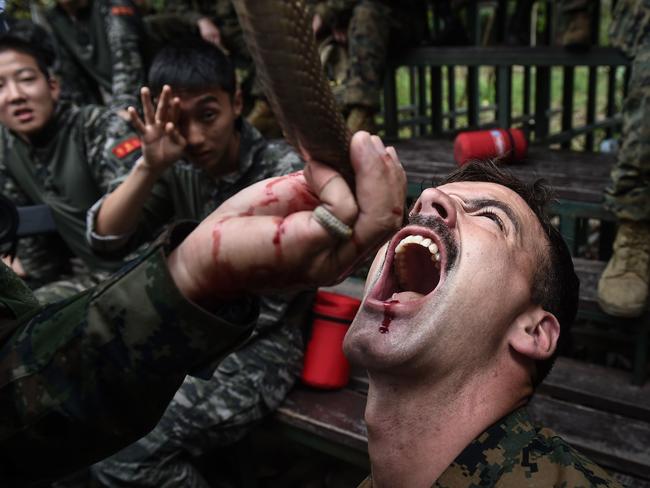 A US marine is fed the blood of a cobra. Picture: AFP