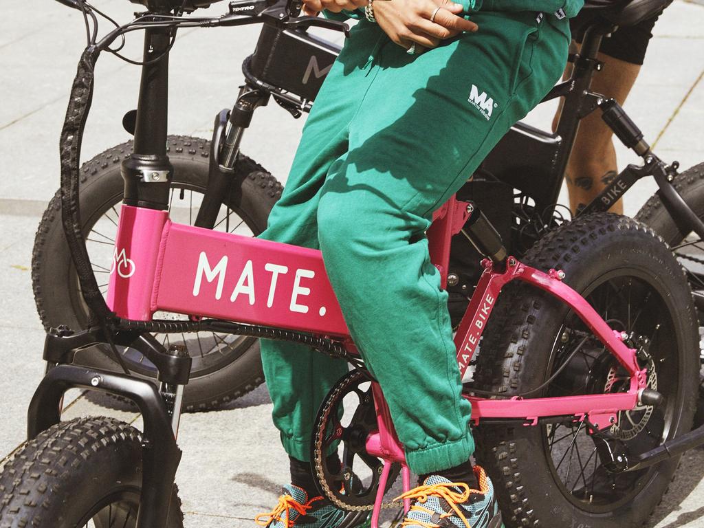 mate x foldable electric bike