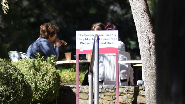 Customers dining at tables at the Gorge kiosk in Launceston on Thursday. Picture: SUPPLIED