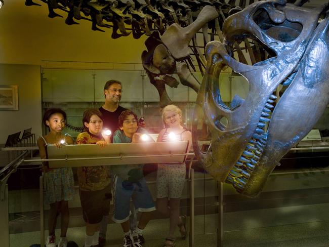 A Night at the Museum: New York’s American Museum of Natural History ...