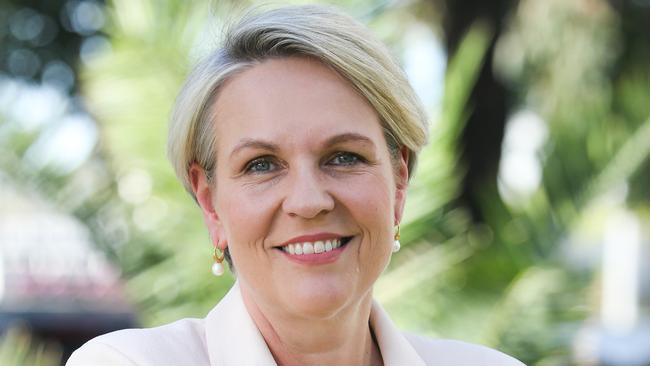 Environment Minister Tanya Plibersek says the Blayney mine tailings dam needs to be redesigned. Picture: NewsWire / Gaye Gerard