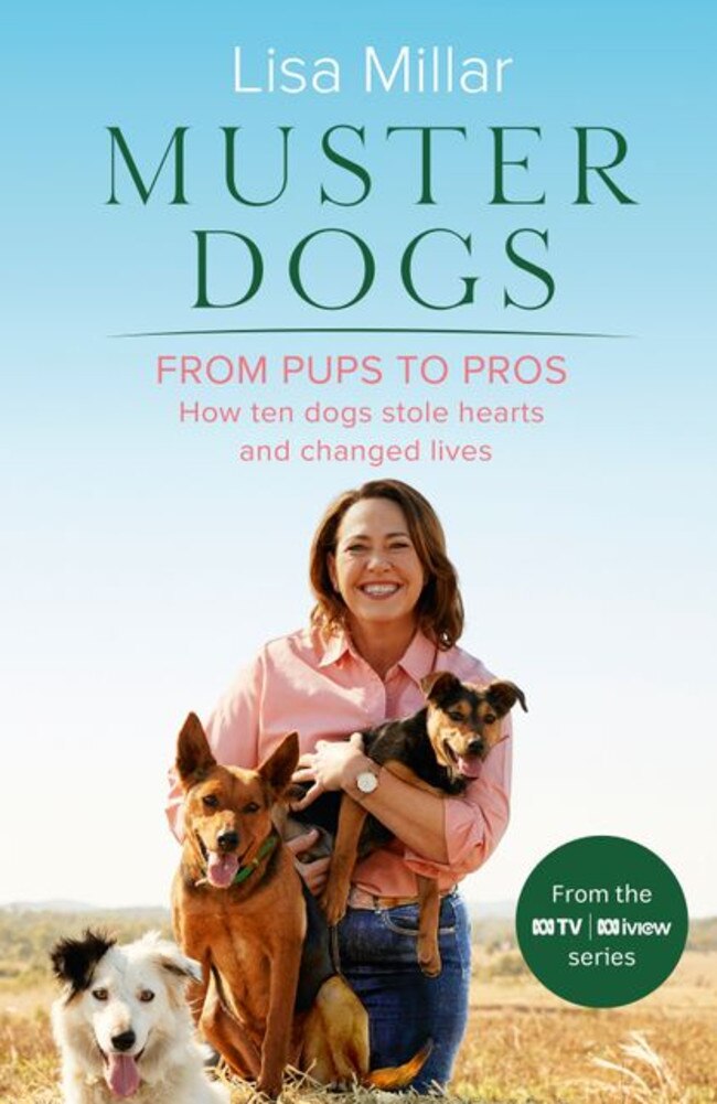 New chapter in the Muster Dogs tail … the book is out on January 17.