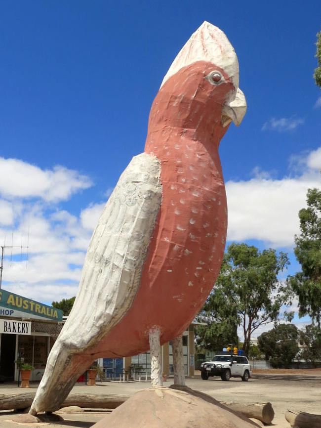 The Big Galah at Kimba.