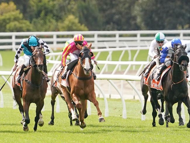 How country racing will return in big way