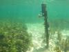 Mystery solved: What is this strange object at popular beach?