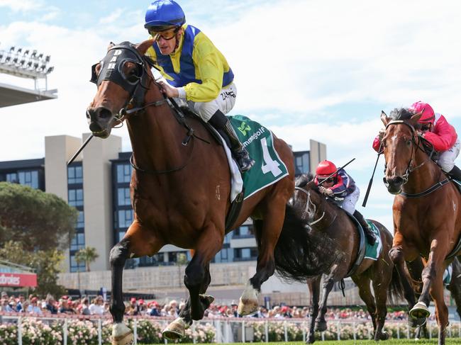 Apulia ridden by Mark Zahra wins the Drummond Golf Vase at Moonee Valley Racecourse on October 28, 2023 in Moonee Ponds, Australia. (Photo by George Sal/Racing Photos via Getty Images)