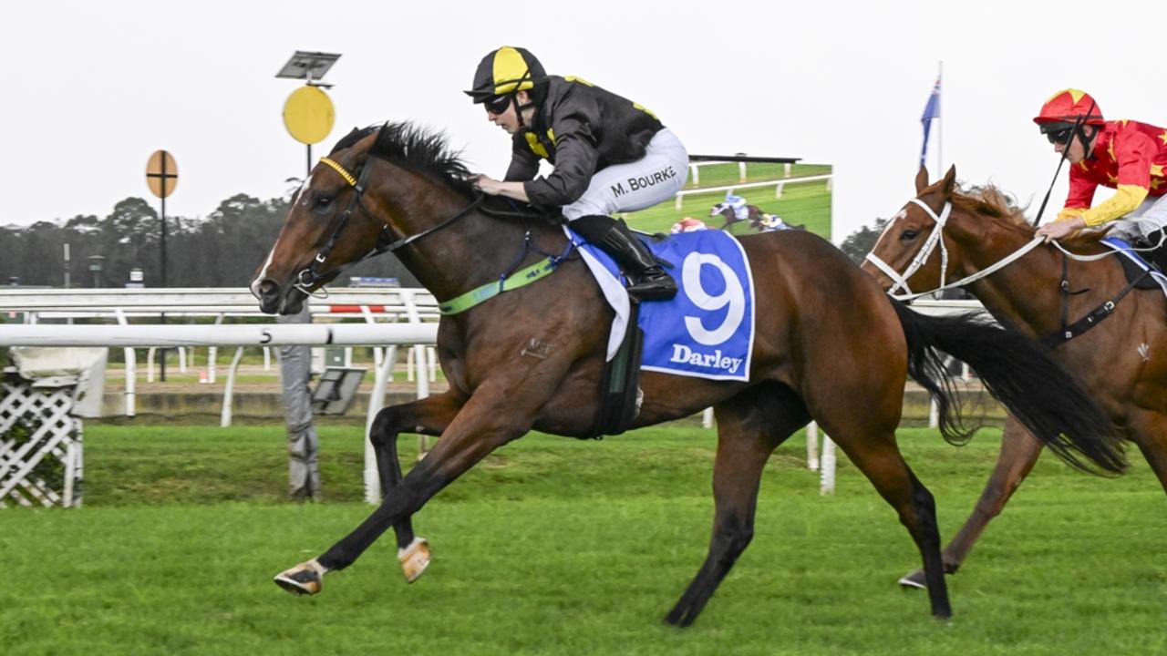 ‘I’ll be moving to Vaucluse!’: It’s all in the name for Sargent filly