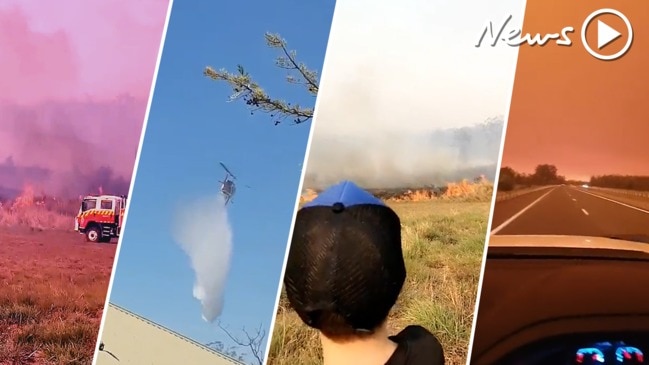 NSW, QLD fires: sobering footage from the ground