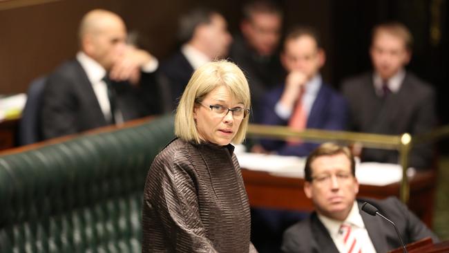 Katrina Hodgkinson in NSW Parliament. Picture: Craig Greenhill