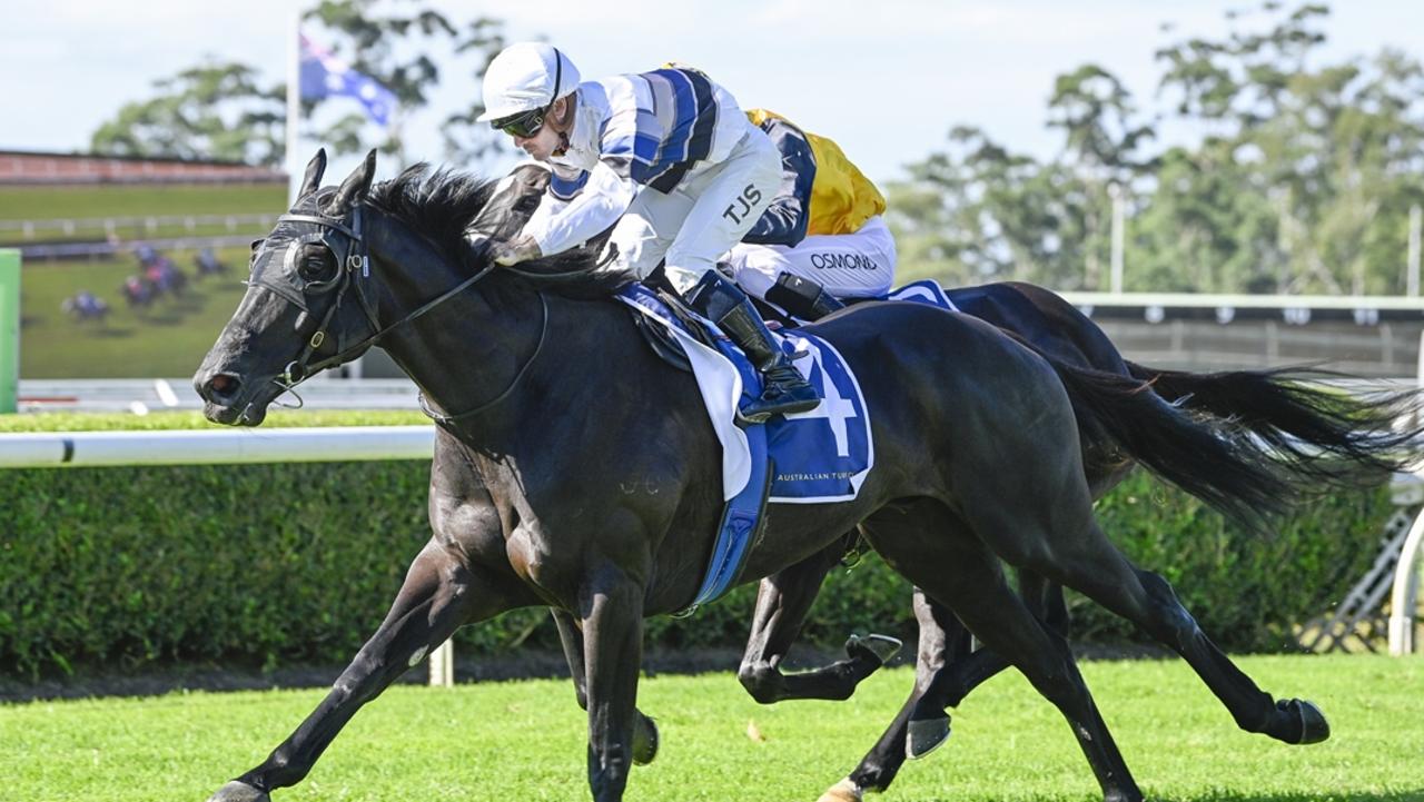 Bianco Vilano is striving for a home town win in the Albury Cup. Picture: Bradley Photos