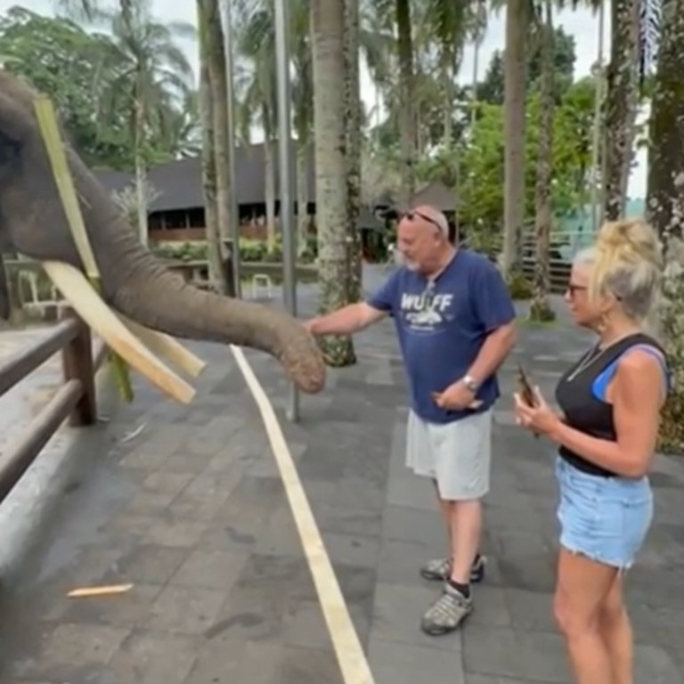 Beth with her husband Les at the park that’s home to 30 critically-endangered Sumatran elephants. Picture: WMUR