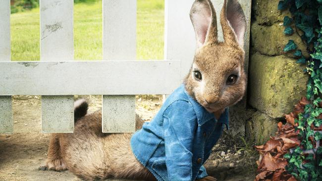 Peter Rabbit: Rose Byrne and Domhnall Gleeson star in the upcoming ...