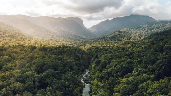 Travellers are seeking immerse experiences in nature – like the Mossman Gorge – research shows. Picture: Supplied