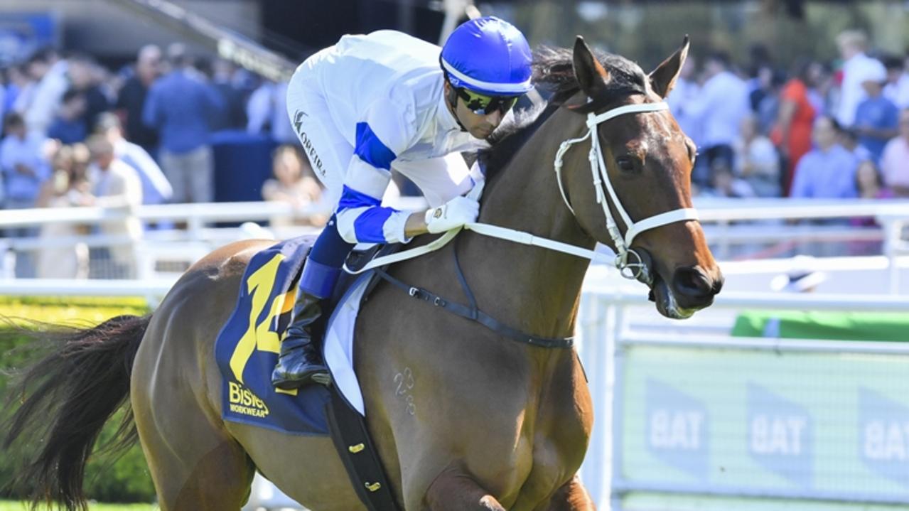 The Chris Waller-trained Caboche brings strong Sydney form to Doomben on Saturday and can be the testing material in race six. Picture: Bradley Photos