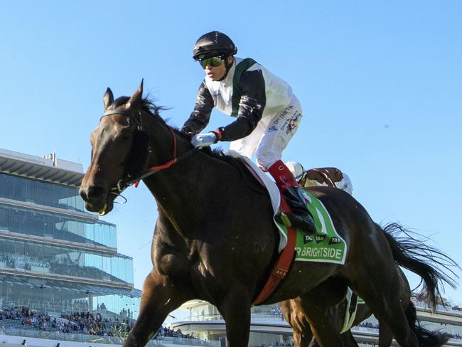 MELBOURNE, AUSTRALIA - MARCH 30: Craig Williams riding Mr Brightside finishing unplaced in Race 8, the Tab Australian Cup, during Melbourne Racing at Flemington Racecourse on March 30, 2024 in Melbourne, Australia. (Photo by Vince Caligiuri/Getty Images)