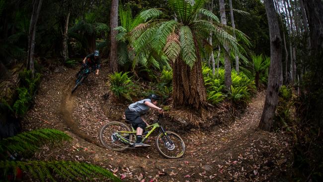 The Maydena Bike Park is a gravity-focused mountain bike park in Tasmania's Derwent Valley. Picture: KANE NAARAAT/Pinkbike.com