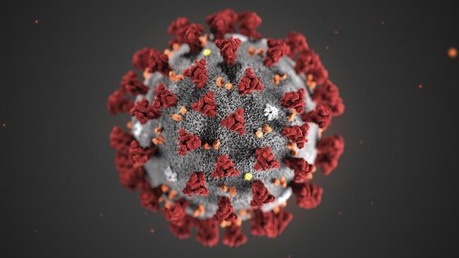 This illustration provided by the Centres for Disease Control and Prevention (CDC) shows the 2019 Novel Coronavirus.