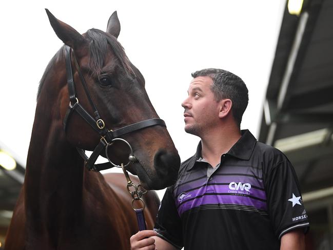 Strapper Umut Odemislioglu with Winx at Flemington Racecourse in 2018. Picture: AAP