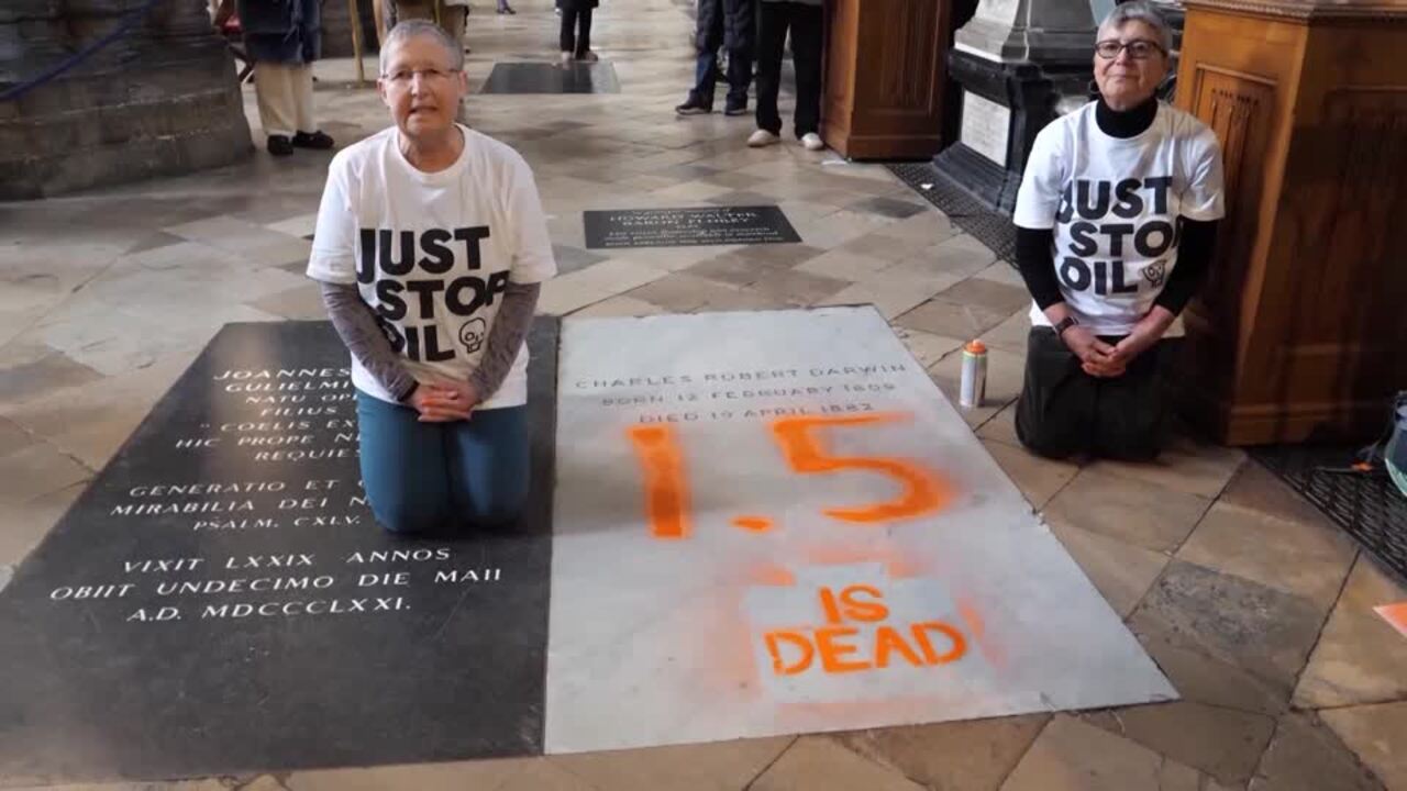 Activists deface Darwin's grave at London's Westminster Abbey