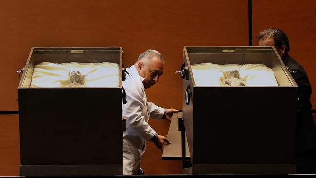 The bodies of two extraterrestrials being exhibited at the Mexican Congress. Picture: Mexico's Congress/AFP