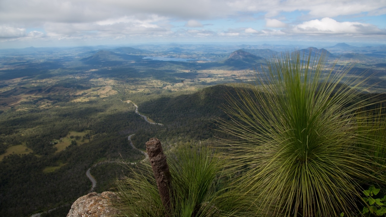 Mount Mitchell hike peak has some of Queensland's best views | escape ...