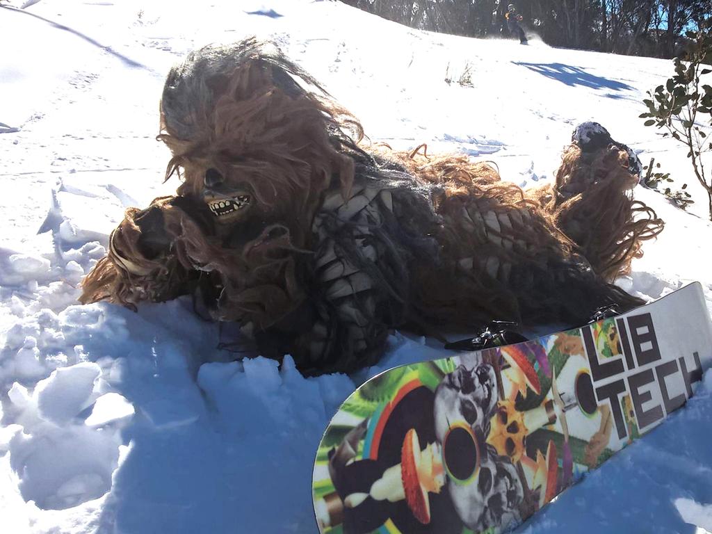 Keith Wass dressed as Chewbacca at Thredbo resort. Picture: Facebook.