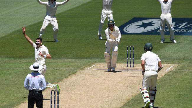 James Anderson, second from left, successfully appeals for an lbw on Nathan Lyon. Picture: AAP.