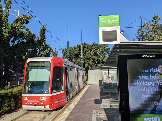 Whitehorse Council wants more services on the Route 109 tram from Box Hill to help commuters during level crossing removal works. Picture: Kiel Egging.