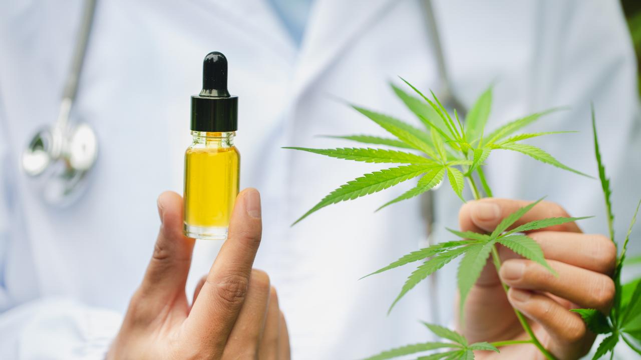 Doctor holding CBD oil. Picture: iStock