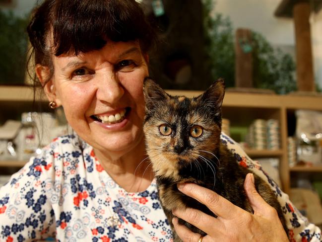 Volunteer at the  RSPCA Care Centre at Rouse Hill Town centre , Avril Wildgoose with Elena the kitten,