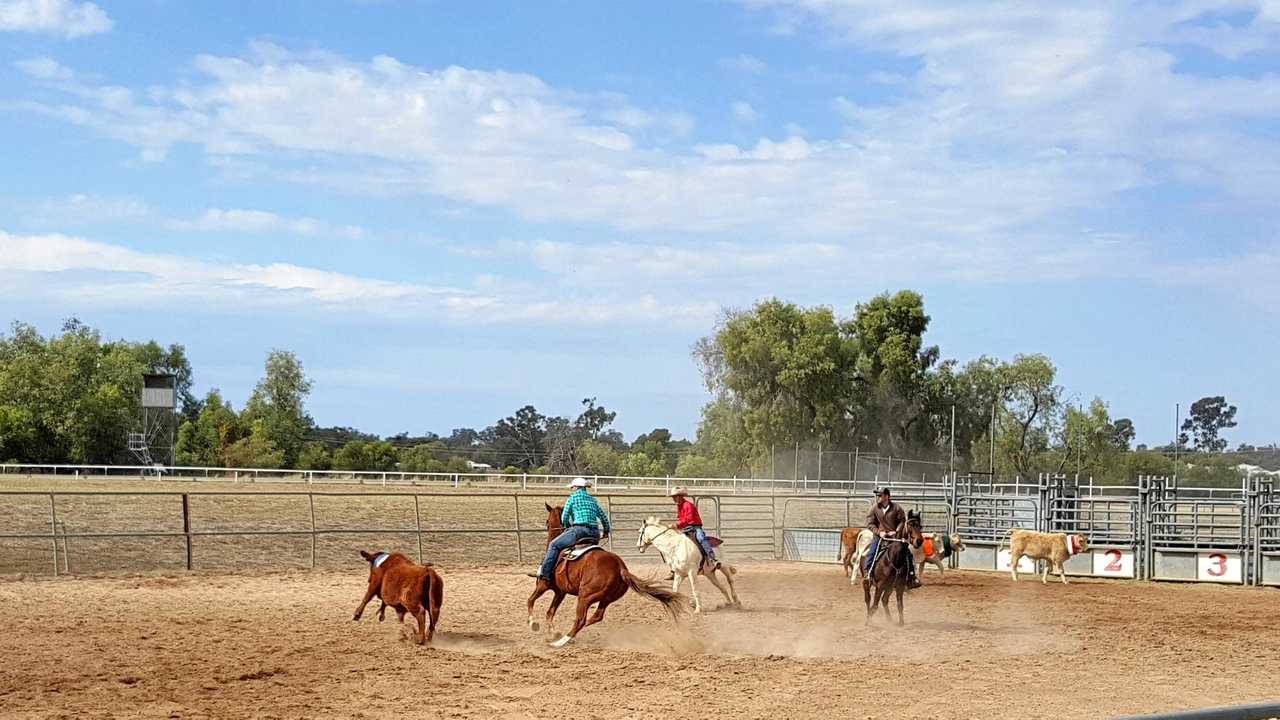 TOUGH COMPETITION: The Maranoa Team Penning took place at the weekend had a good crowd of competitors. Picture: Contributed