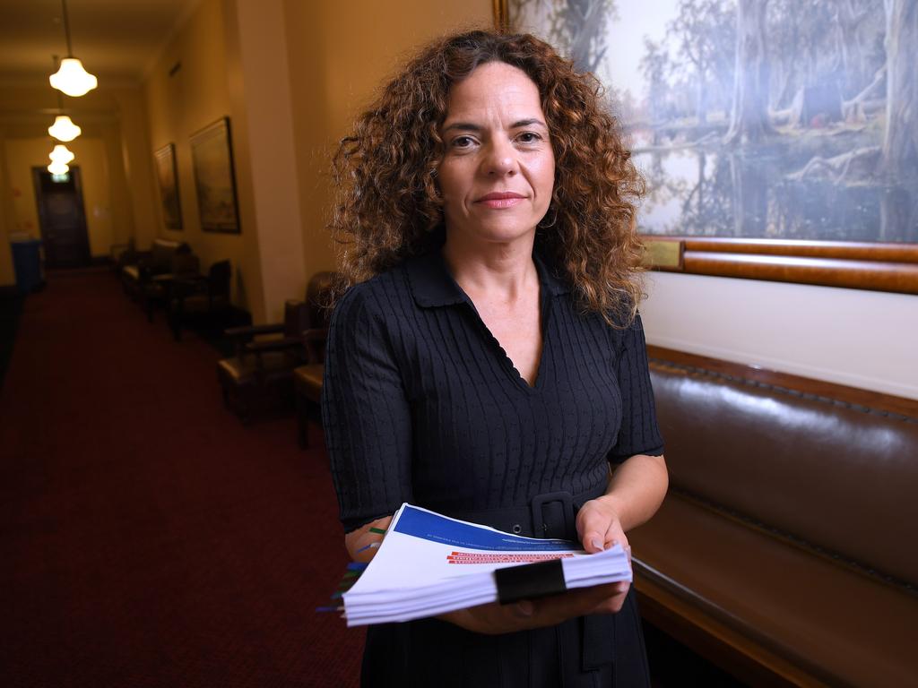 SA Best MLC Connie Bonaros will introduce the law to parliament on Wednesday. Picture: Mark Brake