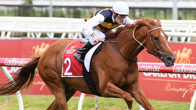 Gailo Chop will push forward from a wide gate in the Underwood Stakes. Picture: Getty Images