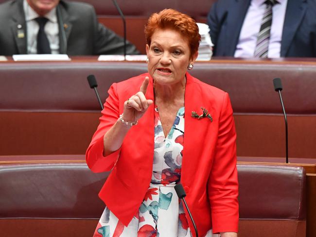 Senator Pauline Hanson. Picture: Getty Images