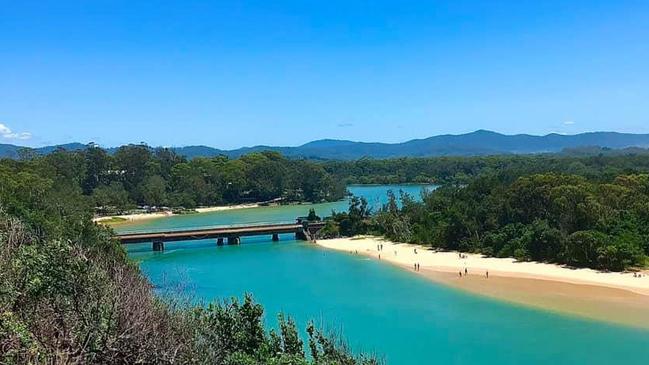 Boambee Creek Reserve, snapped by Tammy Osborne.