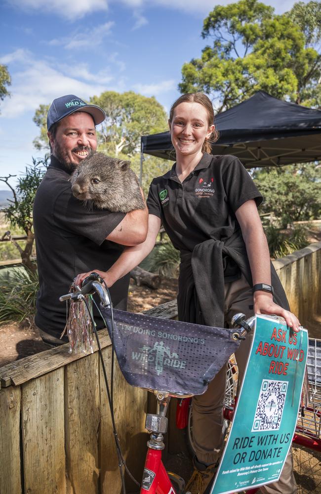 Greg Irons with Bingo the Wombat and Steph Parker on the bicycle for Wild Ride charity ride at Bonorong Wildlife Sanctuary. Picture: Caroline Tan