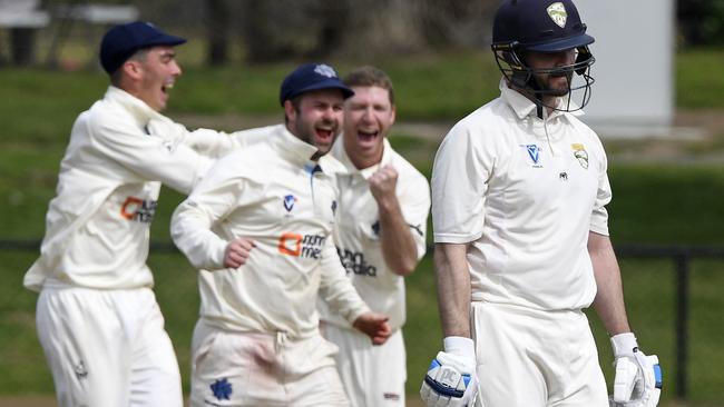 Alistair Burge celebrates a wicket for Kew. Picture: Andy Brownbill