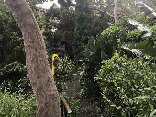 A large tree fell across the roof of a house in Bellevue Ave in Avalon on Thursday. Picture: Jim O'Rourke