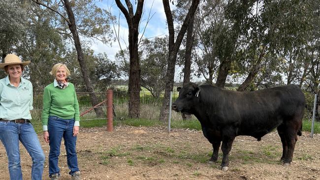 Ruth and Lucinda Corrigan with the $75,000 bull sold at their Rennylea bull sale at Culcairn, NSW.