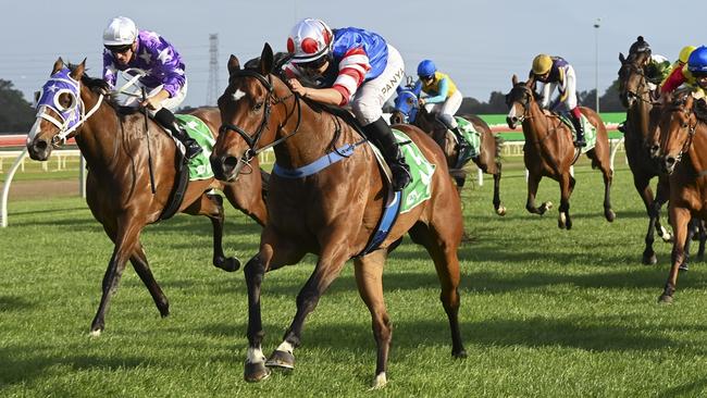 Verona Rose is looking to stay unbeaten when she lines up in the Kembla Grange Classic. Picture: Bradley Photos