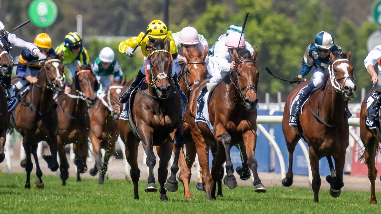 Lexus Melbourne Cup