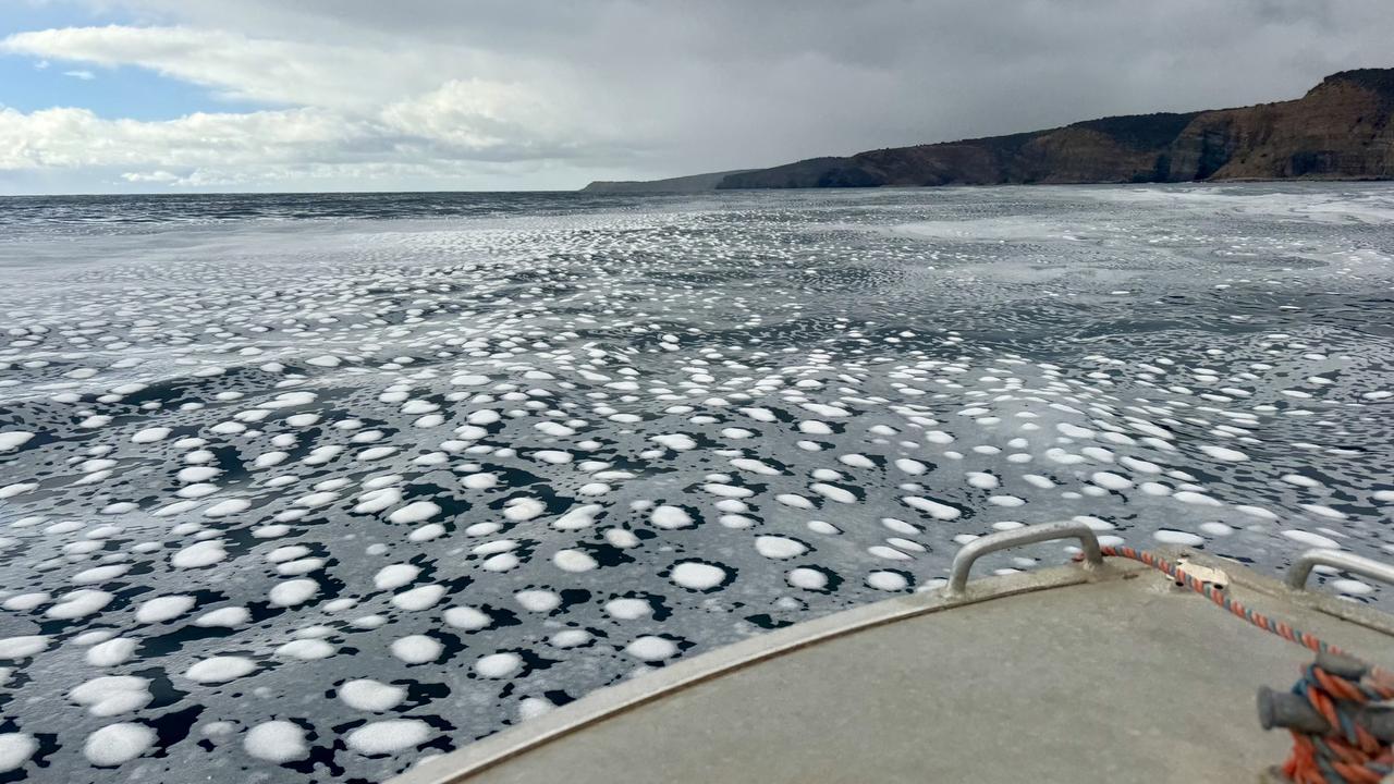 The algal bloom along Kangaroo Island’s north coast. Picture: RAD KI