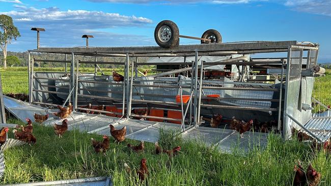 Forage Farms in Kybong have revealed the extent of damage the winds like a mini-cyclone did to their chicken coups and houses on the property. Picture: Forage Farms