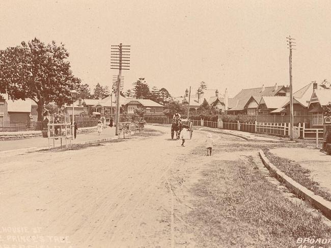 What Haberfield looked like in the early days.